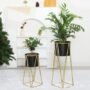 Black And Gold Metal Plant Stand For Home Decor Pack Of 2